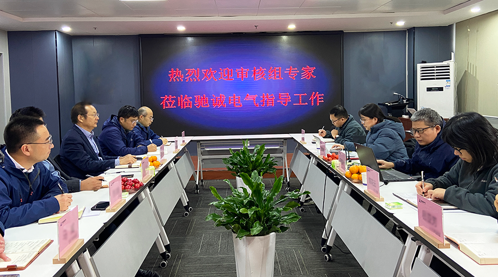 喜报！乐天堂官网电气顺利通过“ATEX国际防爆认证”监督审核