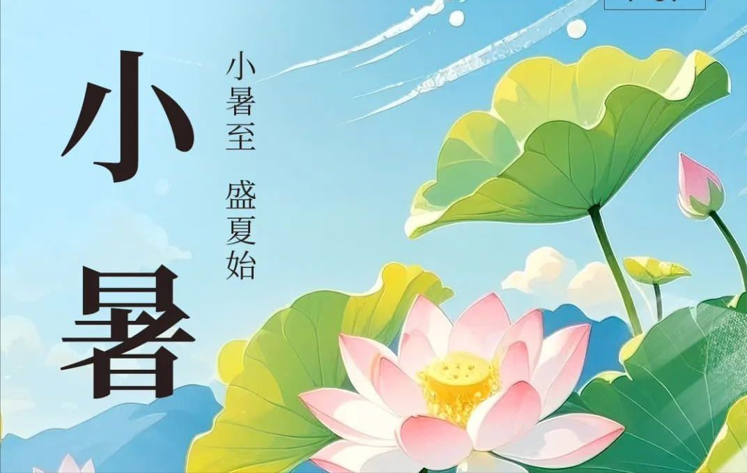 今日小暑|盛夏已至 守护清凉